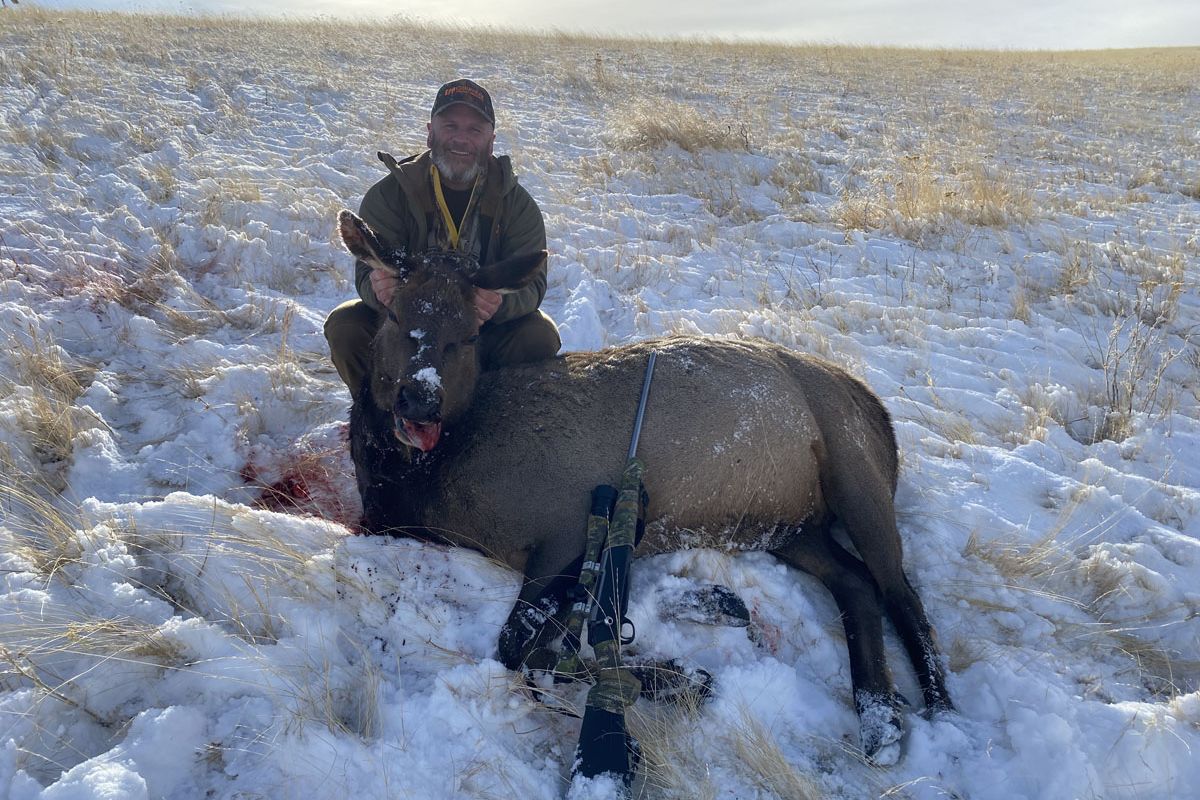 Hunter with a cow elk in the snow