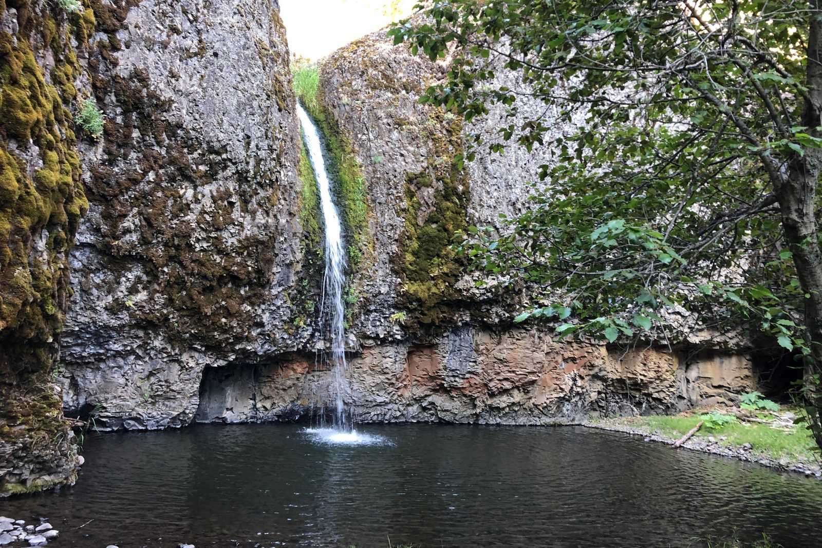 A waterfall pouring down a mossy basalt cliff into a dark pool