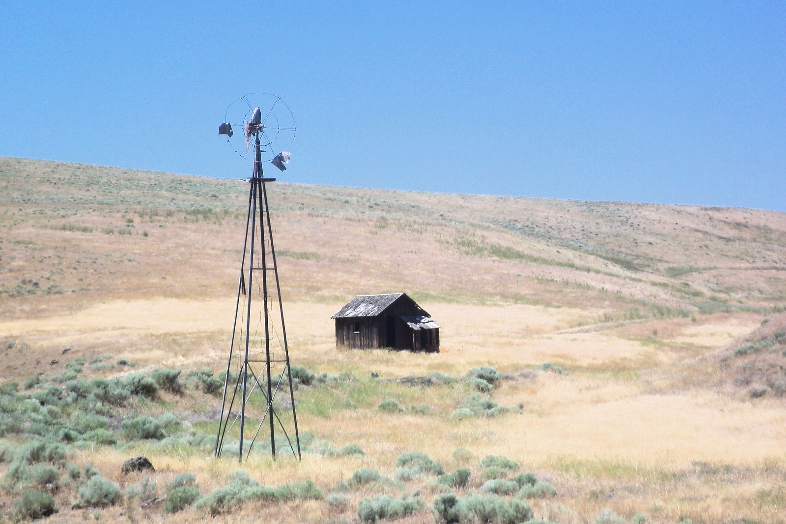 Old windmill and cabin in late-summer grass